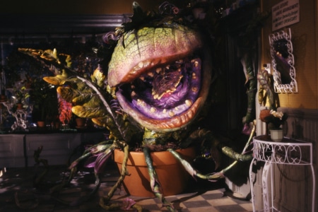 Little Shop Of Horrors