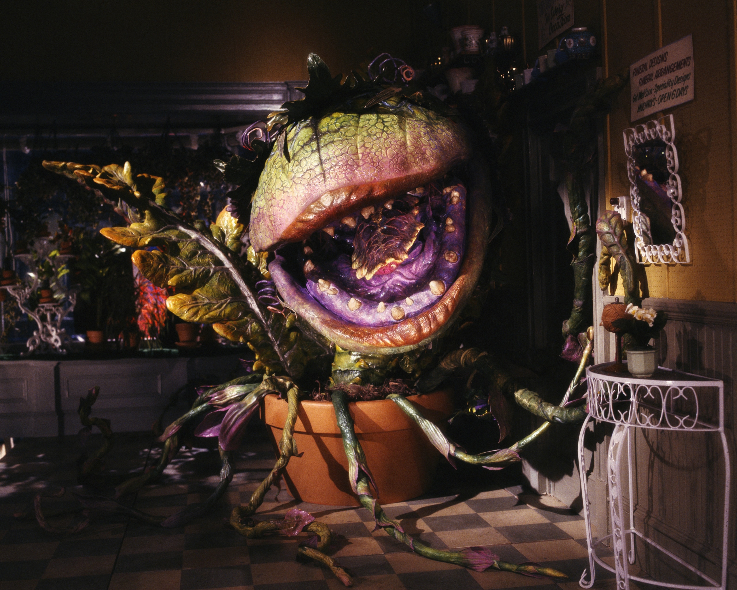 Little Shop Of Horrors